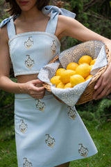 Sarv Mini Skirt - Blue & white Rosewater House