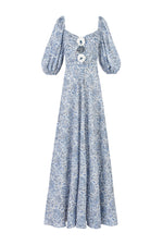 Rosa Dress - Printed Chiffon Blue Dresses - Maxi Rosewater House 